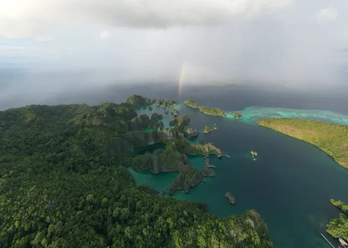 Raja Ampat Image 2